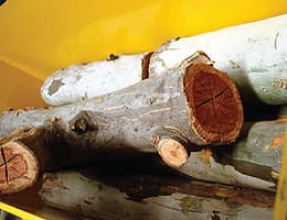 Logs being fed into Ritlee Wood Shaver