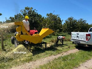 Ritlee Chipper Grinder used for processing bush feed
