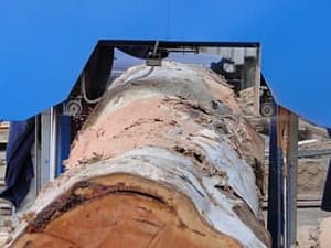 750mm passing through saw housing!