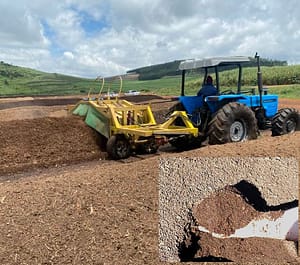 Compost production of 500 tons per month of composted chicken littre