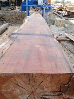 Sawmill Closer view of cut of 750mm log! Sawmill Closer view of cut of 750mm log!