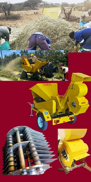 Bush Feed Bos Voer Bushfeed