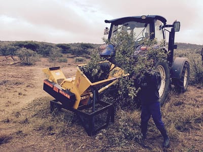 Vaalbos being fed into our first design chipper with grinder Vaalbos being fed into our first design chipper with grinder