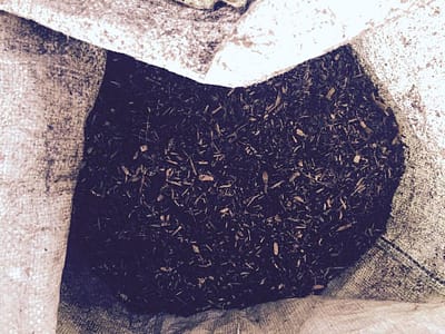 Chipped and ground Vaalbos Mixed with some molasiis