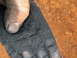 Bio Char ground real fine