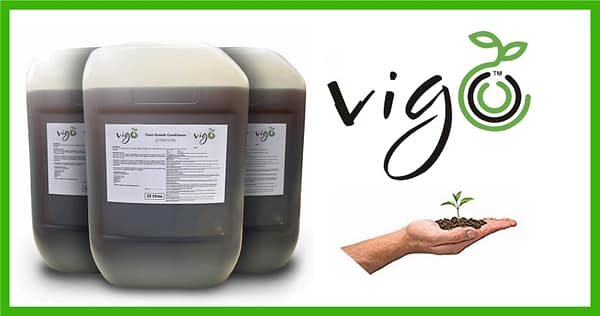 Vigo Growth stimulant!